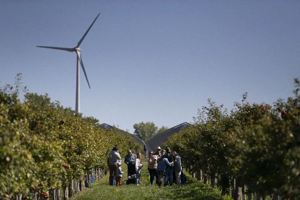 Domaine-Labranche_activite