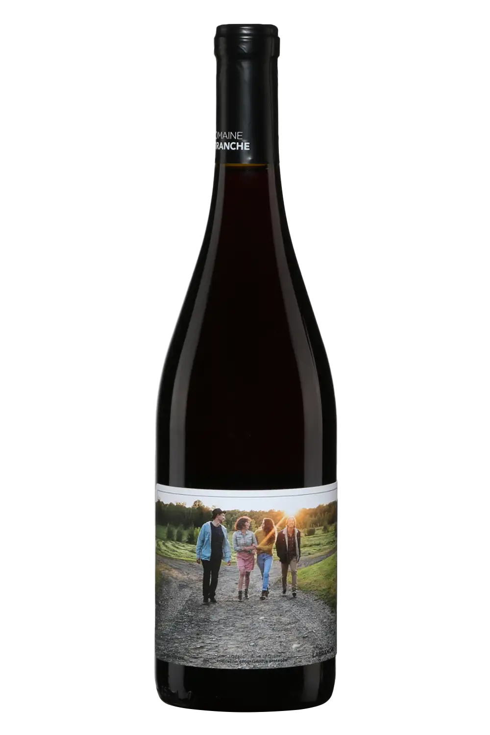 Gamay-Le-bonheur-de-se-revoir