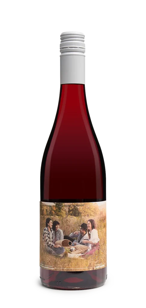 Vin Rouge - Pique-nique improvisé