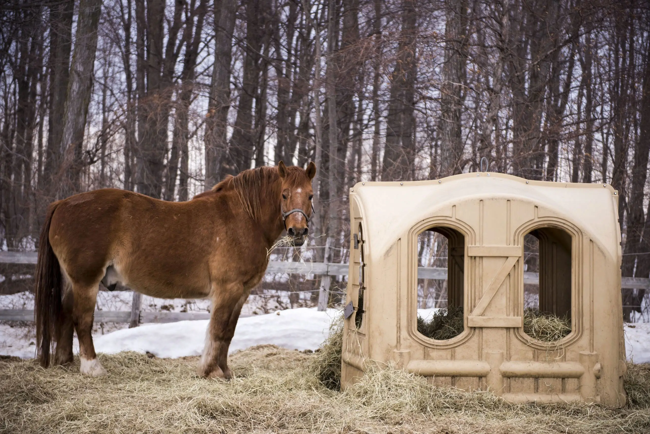 labranche_degustation