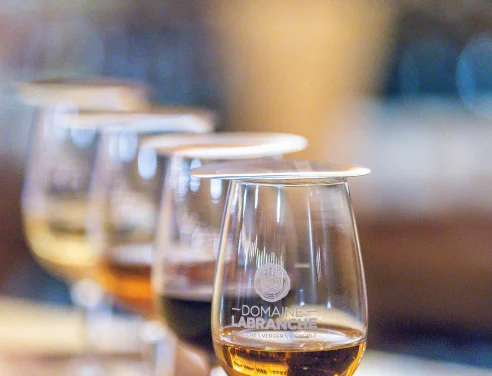 Dégustation - Domaine Labranche