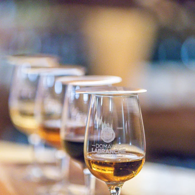 Dégustation - Domaine Labranche