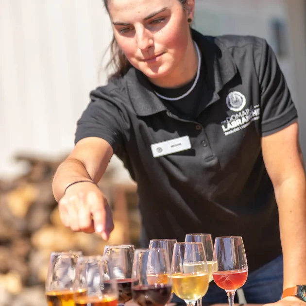 Dégustation de groupe - Domaine Labranche