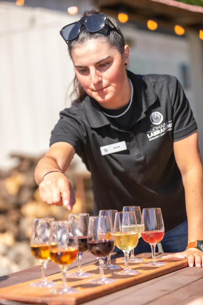 Dégustation de groupe - Domaine Labranche