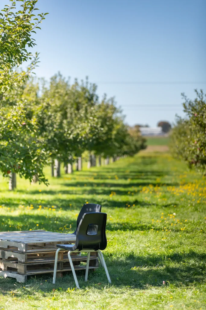 Cabane à pommes - Autocueillette