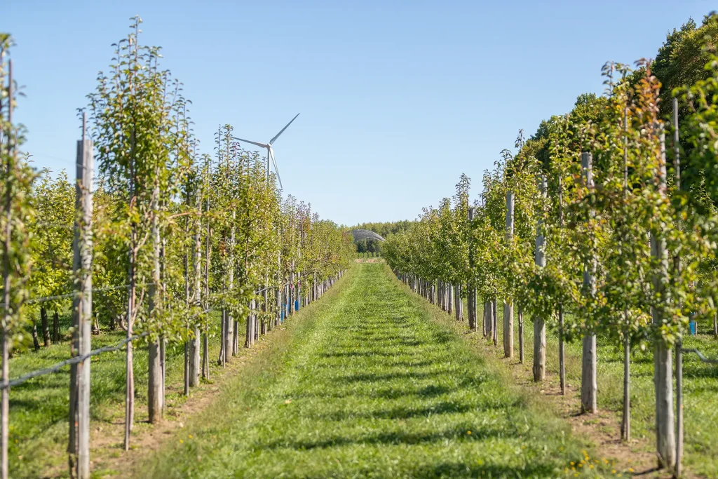 Cabane à pommes - Autocueillette