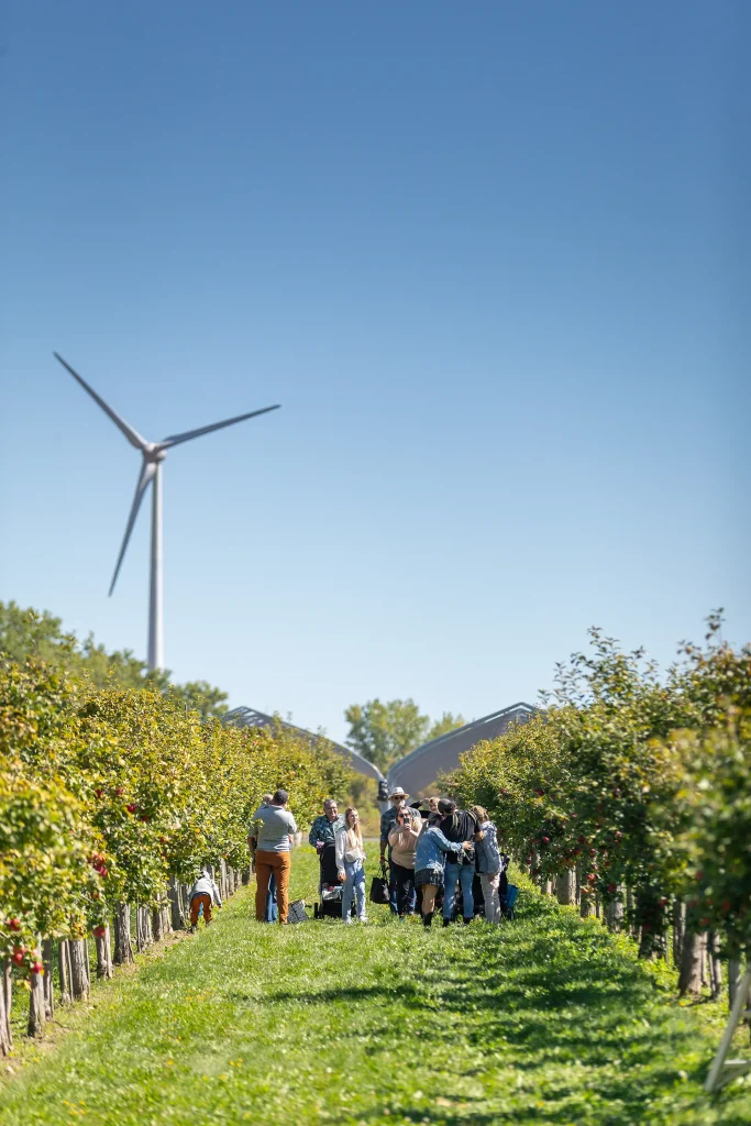 Cabane à pommes - Autocueillette