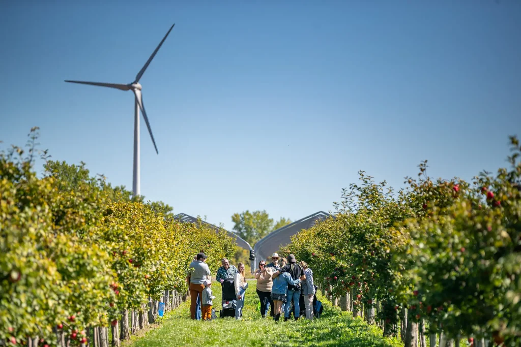Cabane à pommes - Autocueillette