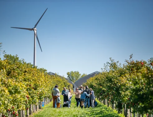 Cabane à pommes - Autocueillette