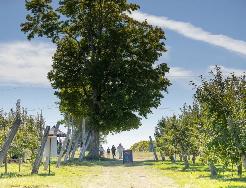 Cabane à pommes - Autocueillette