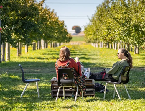 Cabane à pommes - Autocueillette