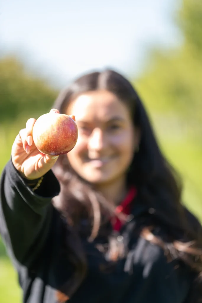 Cabane à pommes - Autocueillette
