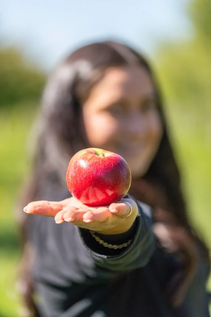 Cabane à pommes - Autocueillette