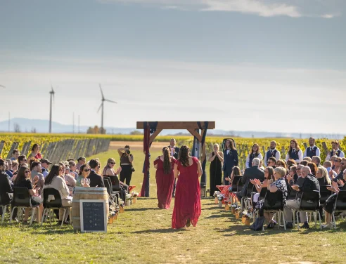 Mariages et événements - Location de salle