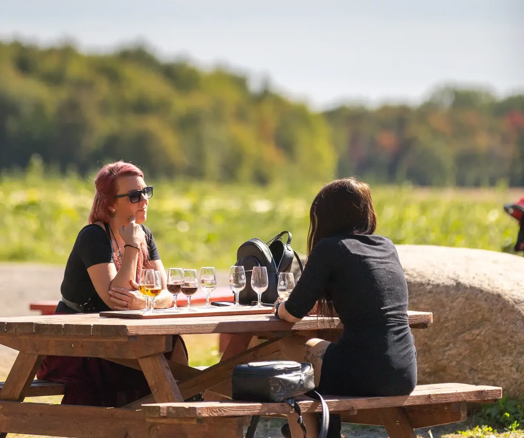 Dégustation - Domaine Labranche