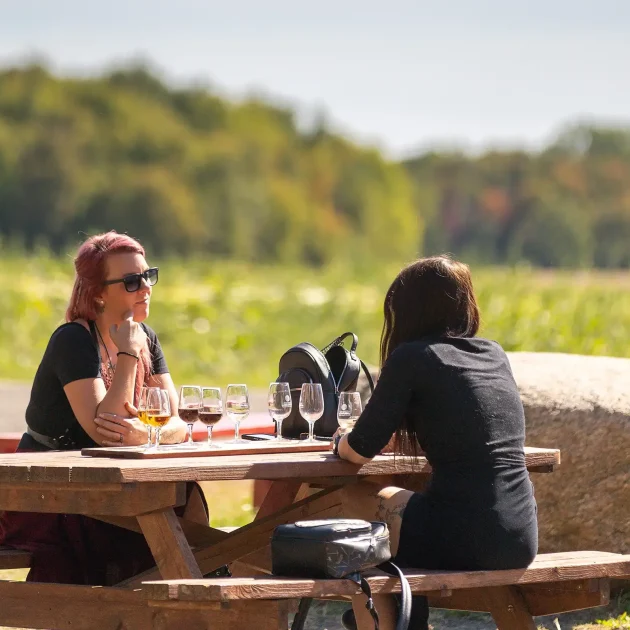 Dégustation - Domaine Labranche