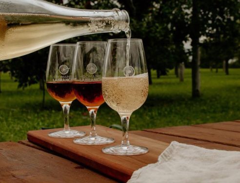 Dégusation de vins - Domaine Labranche