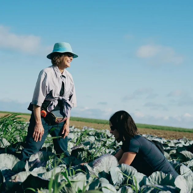 Savourez les fruits et légumes biologiques - Domaine Labranche
