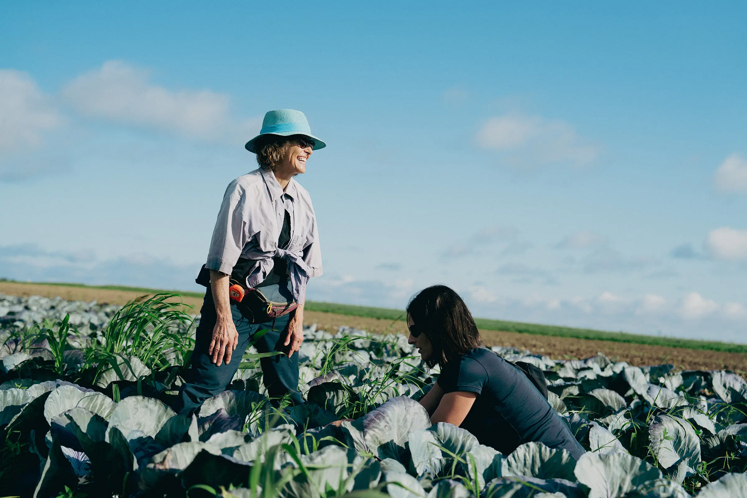Savourez les fruits et légumes biologiques - Domaine Labranche