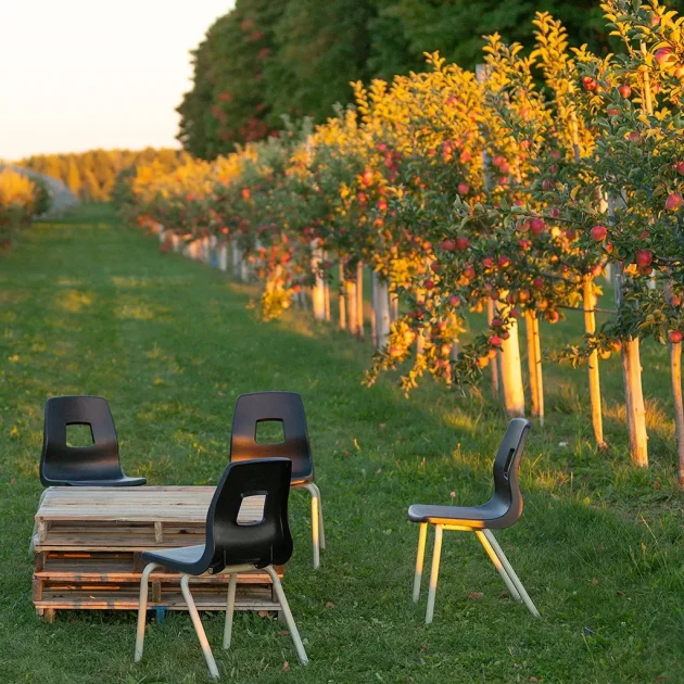 Cabane à pommes - Domaine Labranche