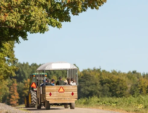 Domaine Labranche - Verger - Autocueillete pommes
